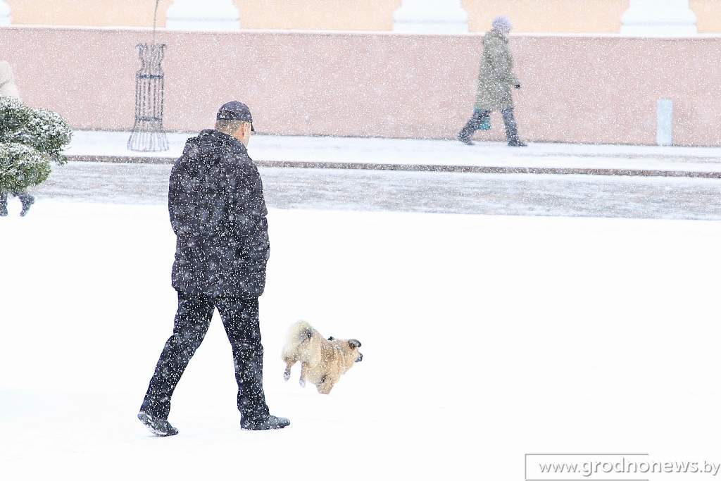 Файл_005.jpeg