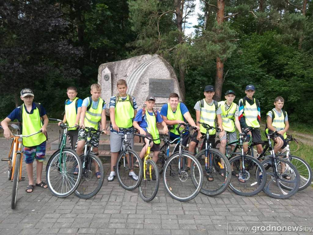 Без названия.png