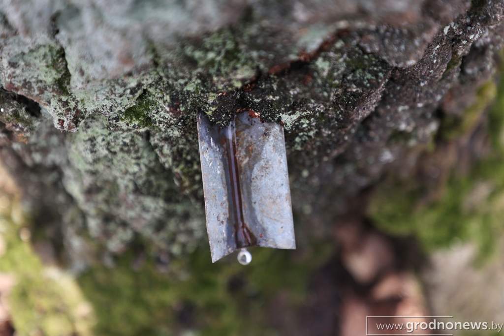 2021-03-29 10.39.30.JPG