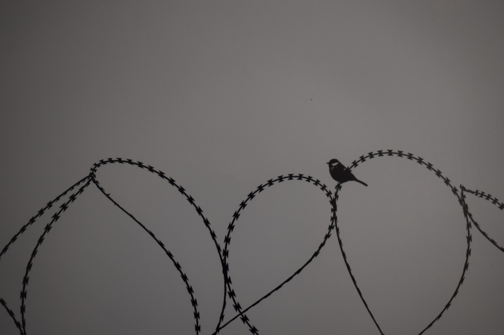 DSC_3463.jpg