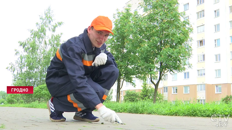 1.jpg 1.jpg