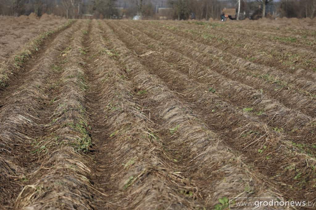 2021-11-01 12.19.24.JPG