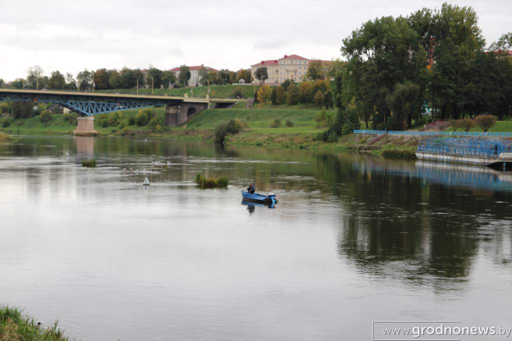 IMG_6954.JPG