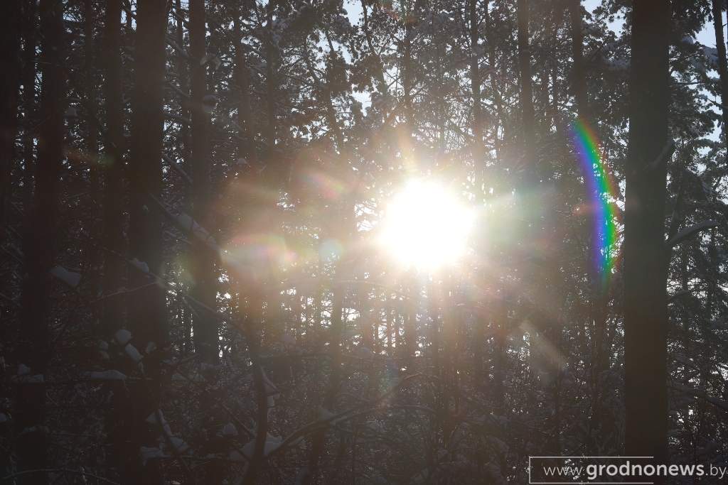 2021-01-17 15.25.17.JPG