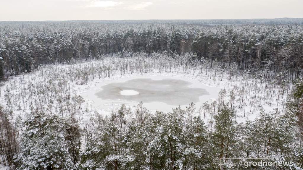 20210111-DJI_0402.jpg