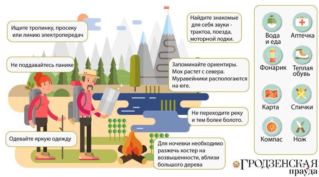 лес мчс.jpg
