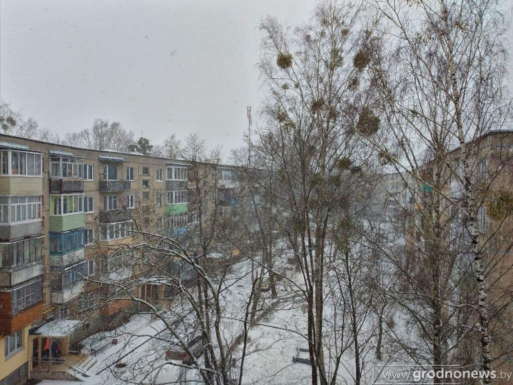 photo_2021-03-07_17-17-05 (2).jpg