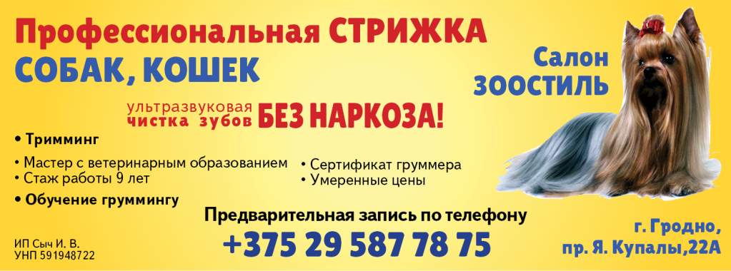 Зоостиль.jpg