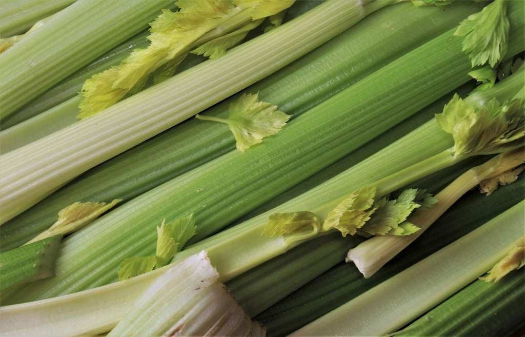 vegetables-5040035_1920.jpg
