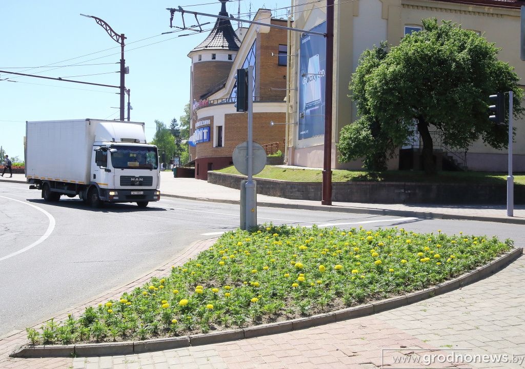 DPP_40216.JPG