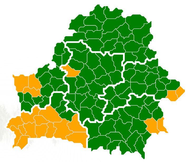 павпвап.JPG