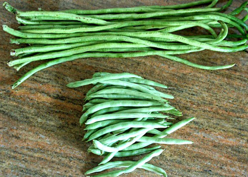 Sparzhevaya-fasol-otlichaetsya-bolee-dlinnymi-struchkami.jpg