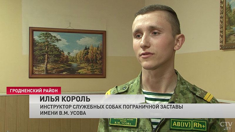 korol_1_0.jpg