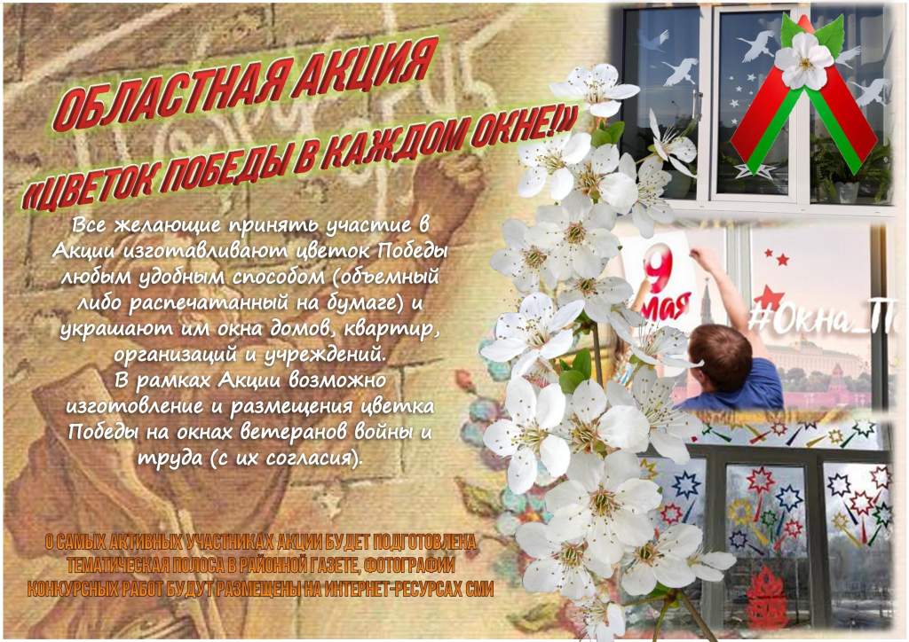 Цветок Победы в каждом окне.jpg