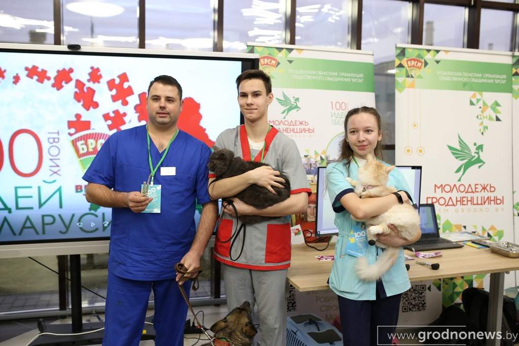жульпа.JPG