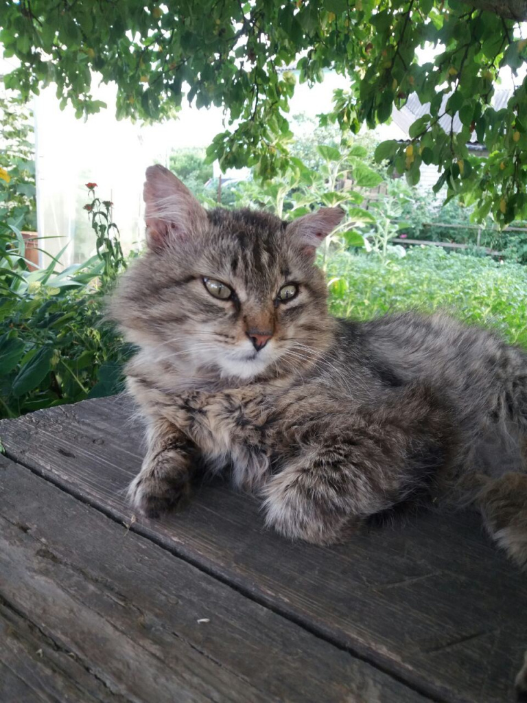 изображение_viber_2019-08-08_13-52-24.jpg
