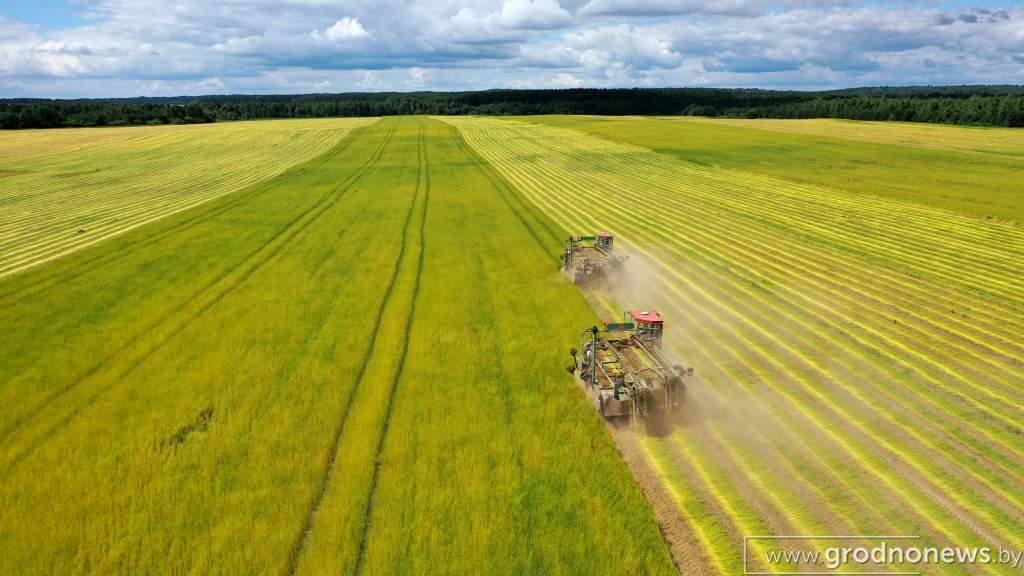 DJI_0901.JPG