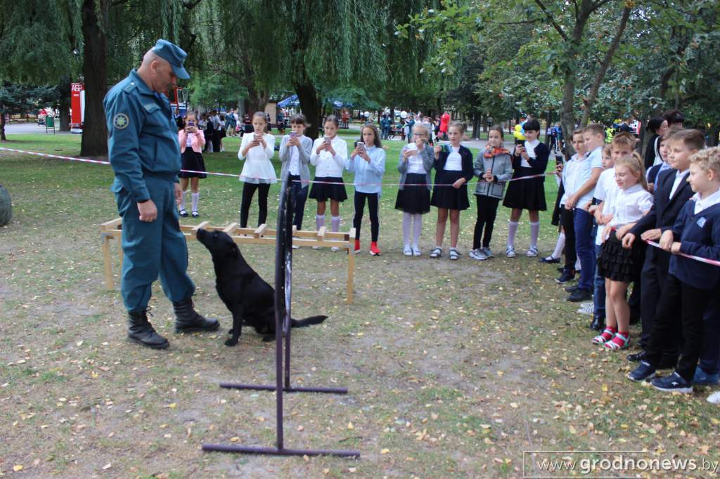 IMG_7937.JPG