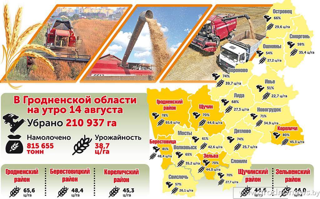 урожай 14 августа.jpg