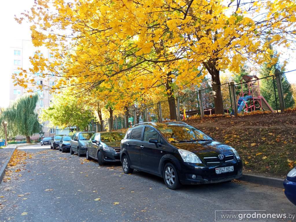 IMG_20211005_151209 (2).jpg