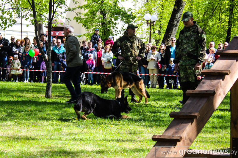 пограничники (2).jpg
