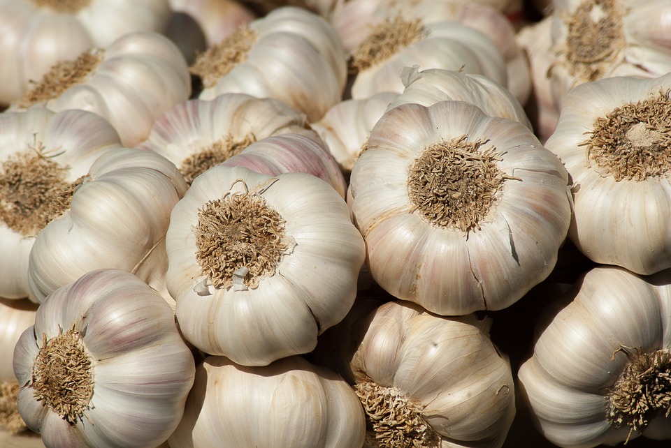 garlic-2097759_960_720.jpg