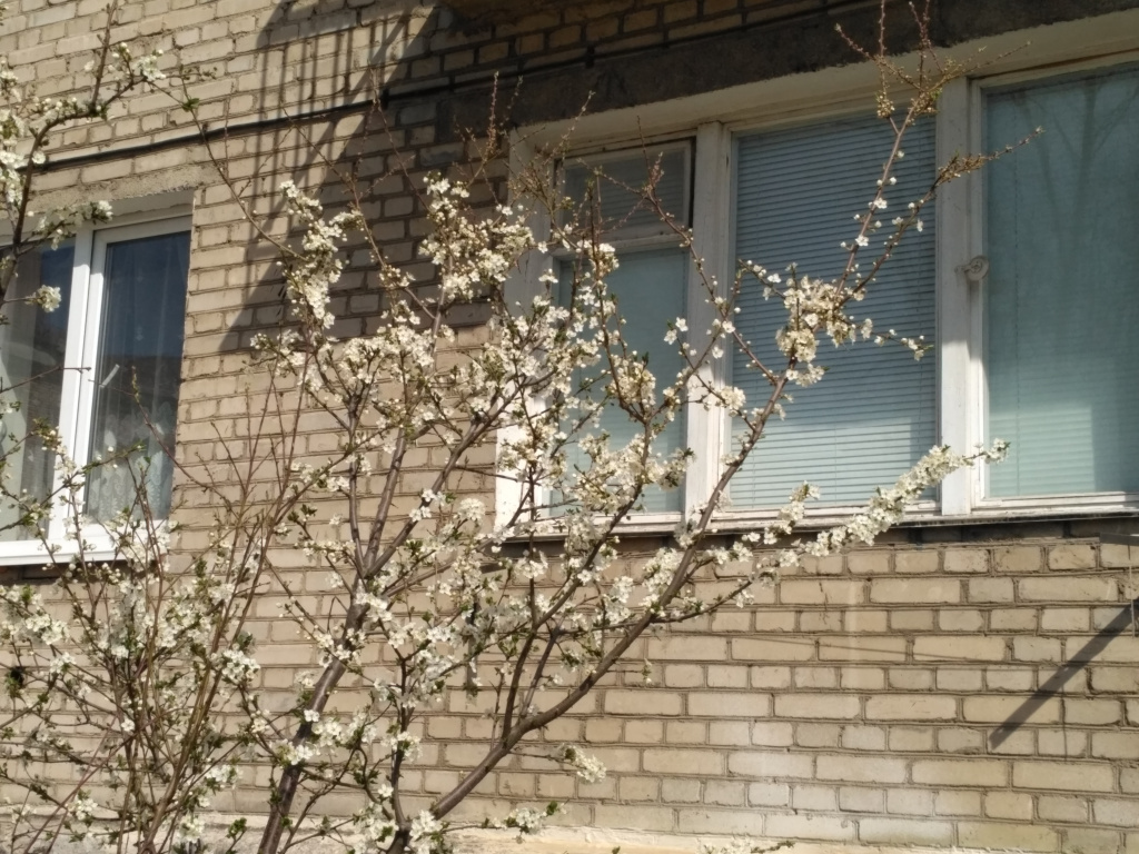 IMG_20190418_114810.jpg