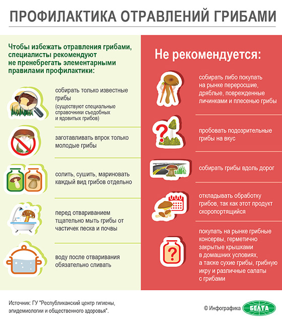 000048_1564131953_17418_big (1).jpg