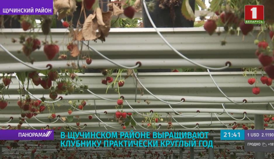 7552cf4185d15cade9b7965f0ec7df7e.jpg