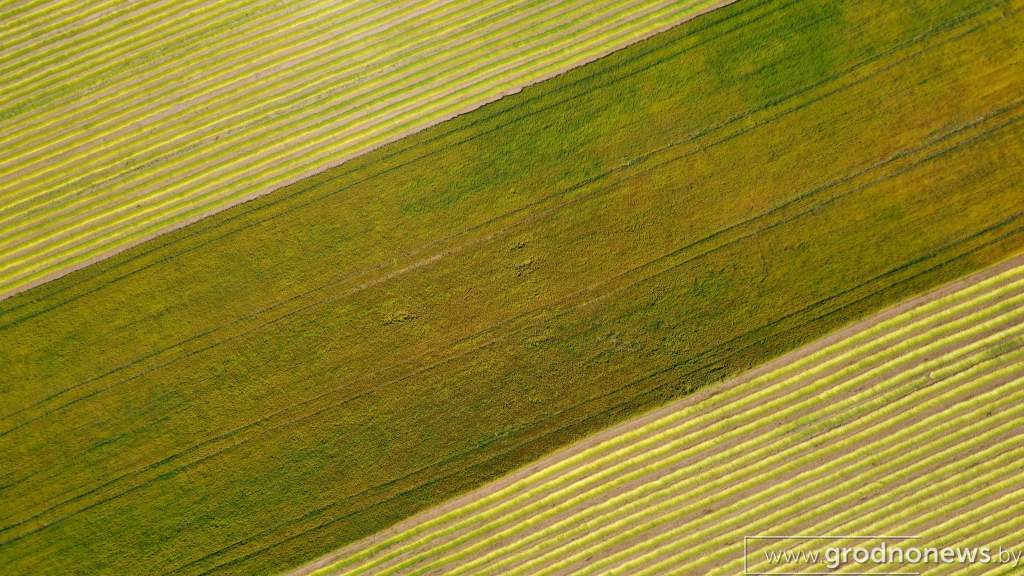 DJI_0889.JPG