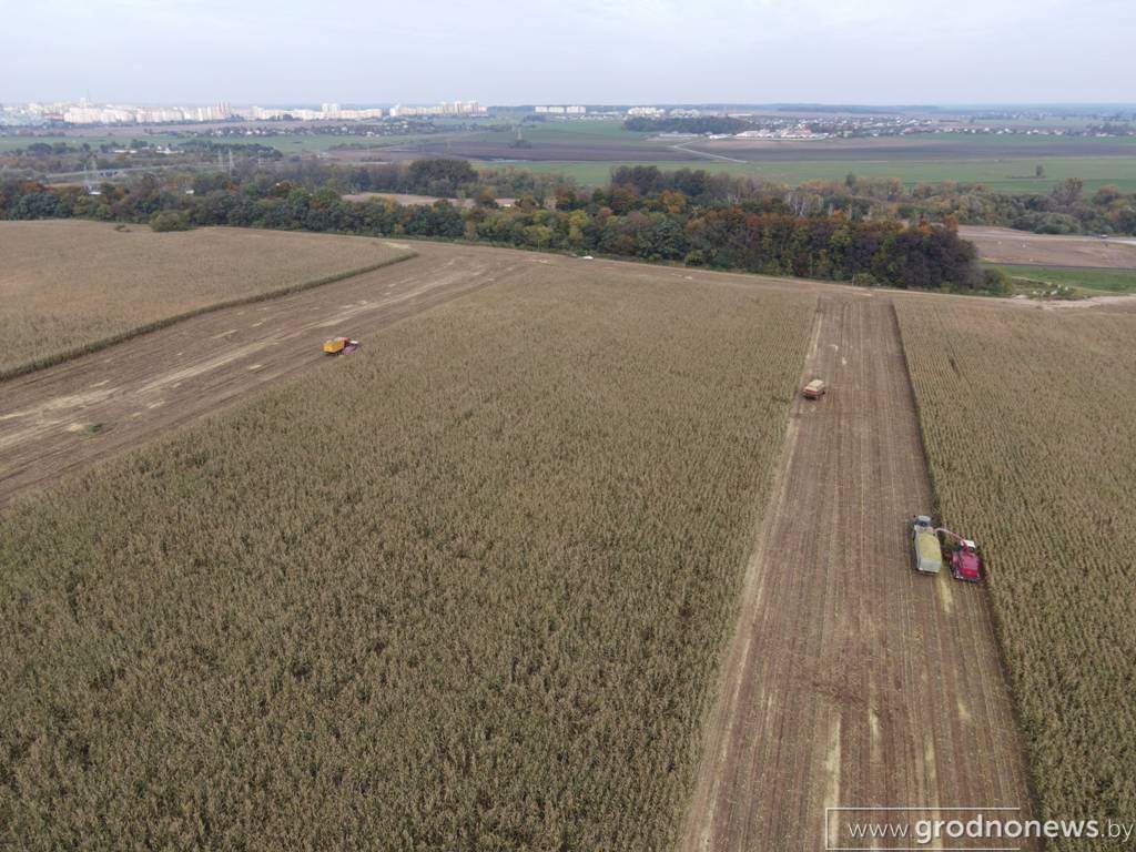 DJI_0605.jpg