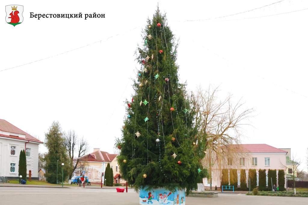 Берестовица ночь.jpg