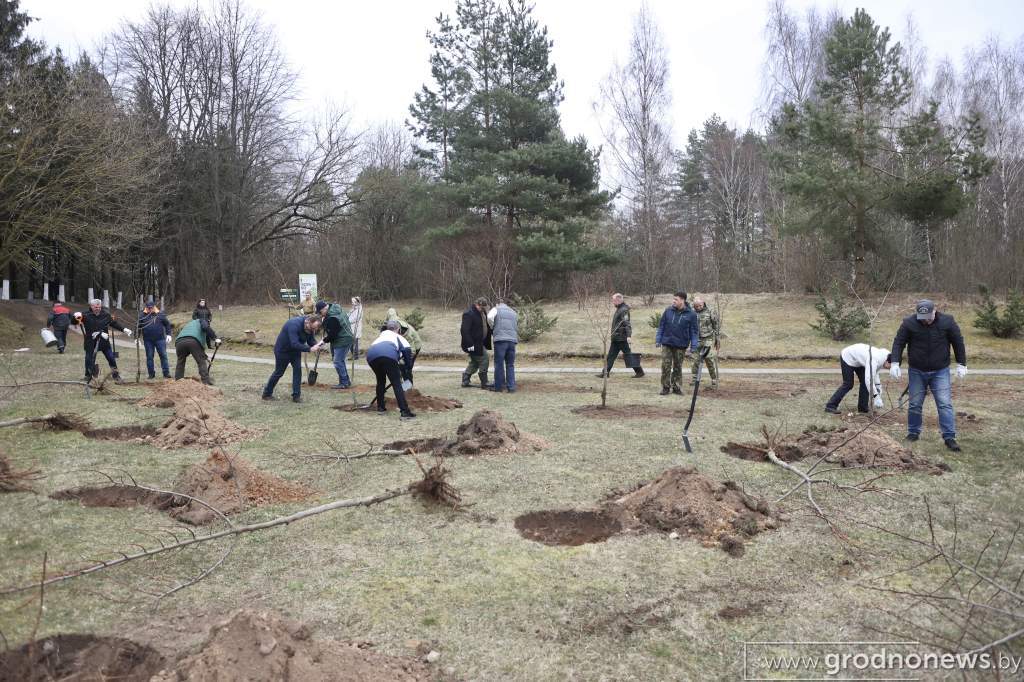 2022-04-09 10.29.29.JPG