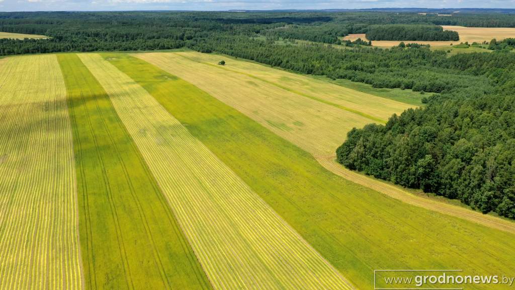 DJI_0890.JPG