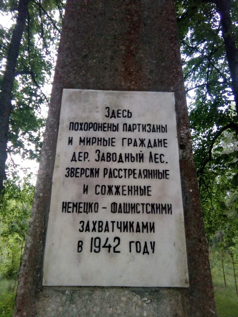 Заводный Лес (5).jpg