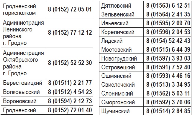 линия.jpg