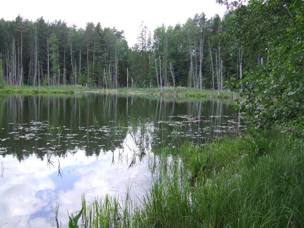DSCF3093.JPG