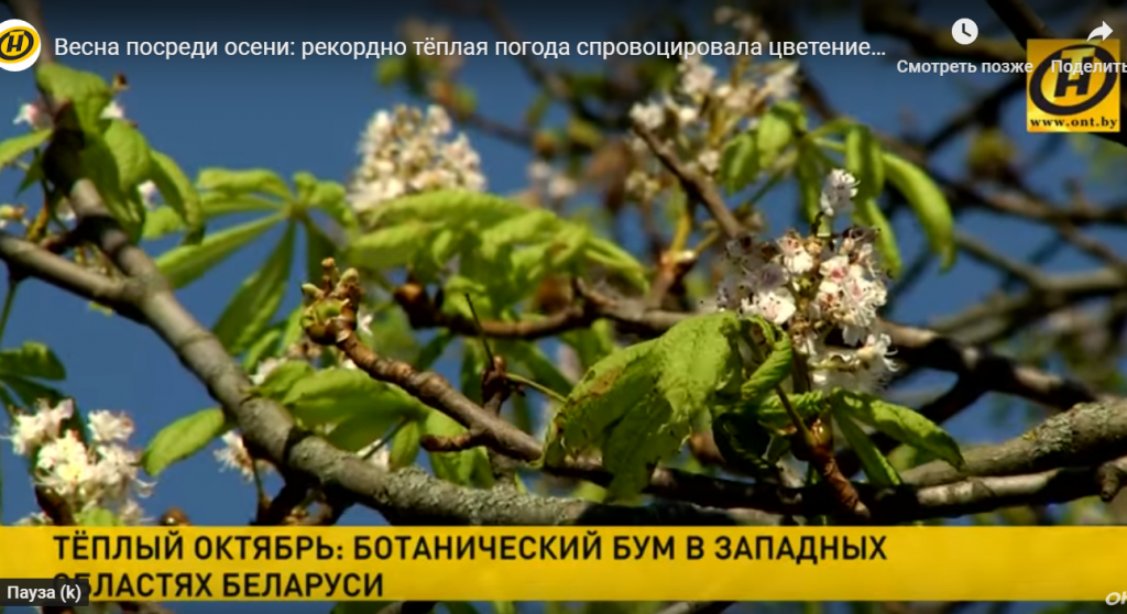 мммм.png