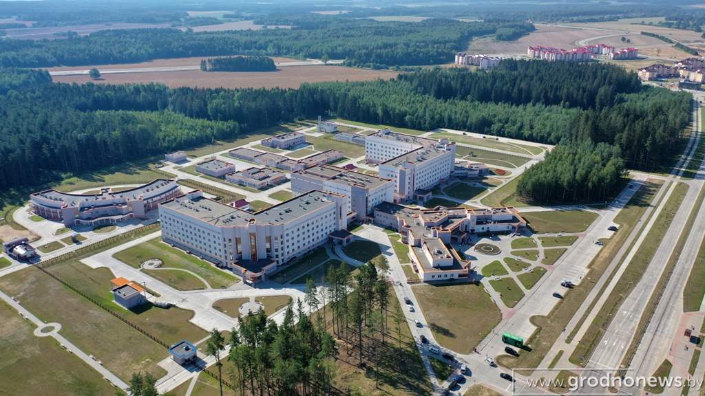 2020-08-08 10.03.51.JPG