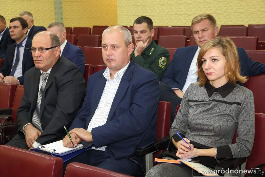 DPP_44145.JPG
