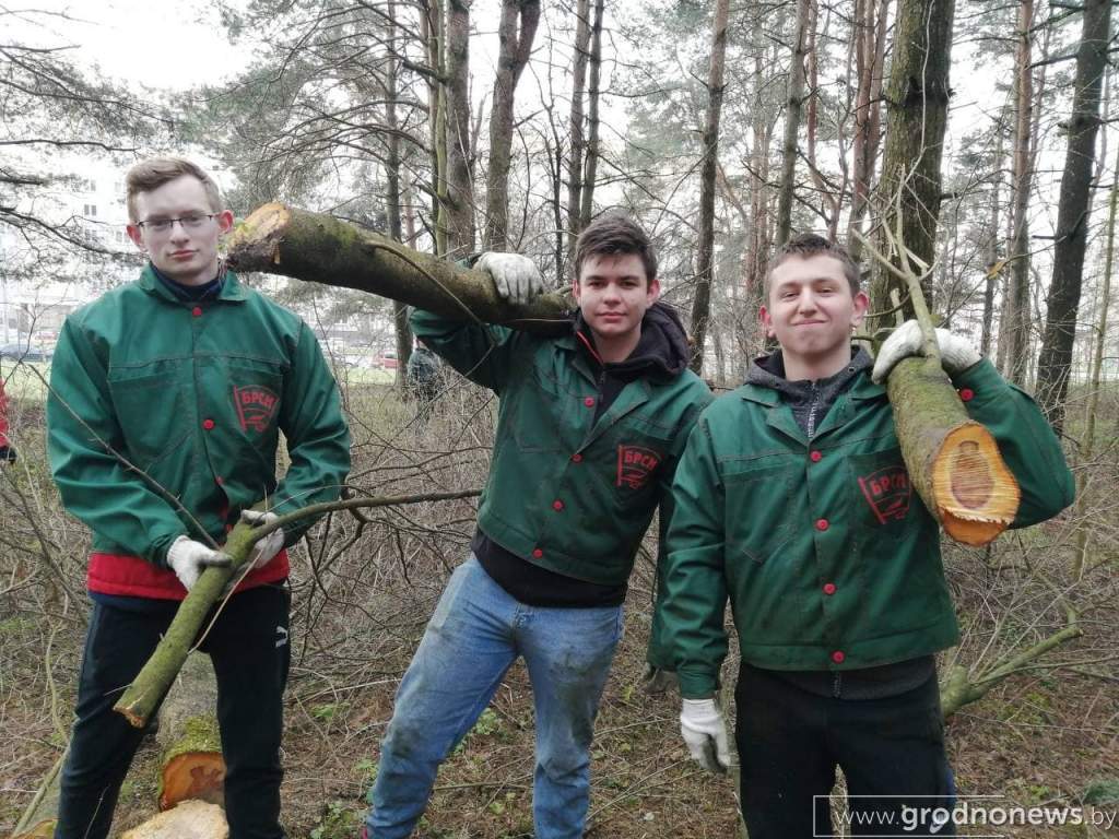 БРСМ 15.jpg