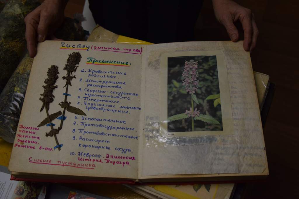 светлана в родительском доме с альбомами отца (5).JPG