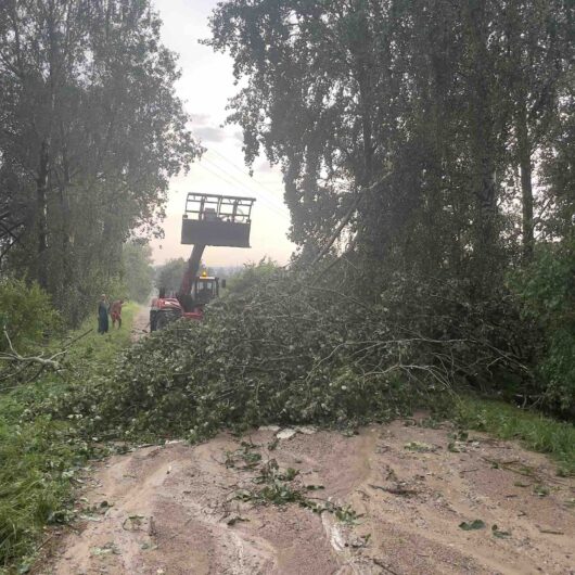 изображение_viber_2024-07-13_20-21-18-186-530x530.jpg