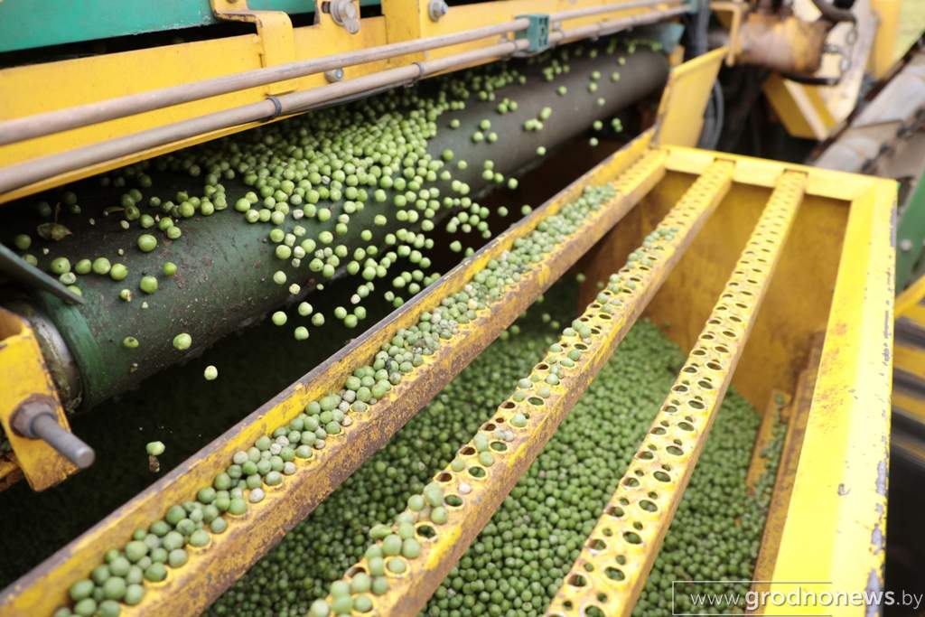 2021-07-13 10.17.52.JPG