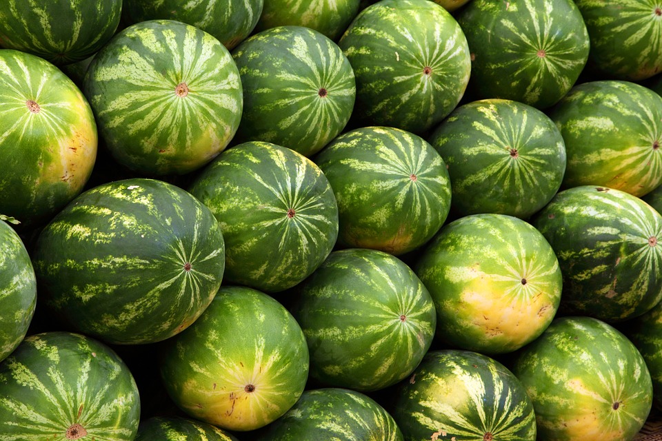 watermelons-2636_960_720.jpg