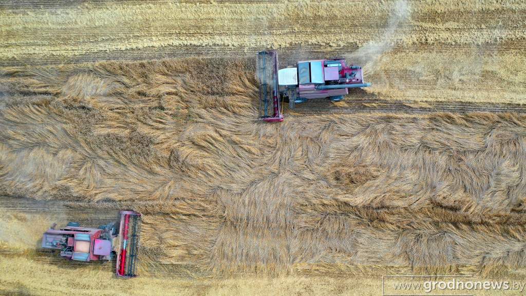 DJI_0064.JPG