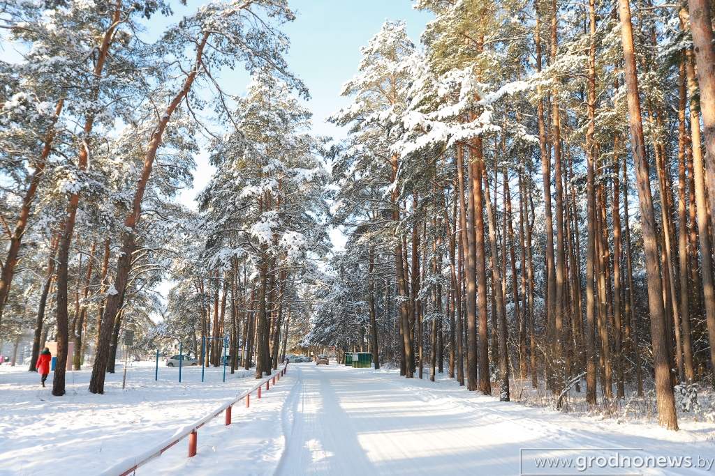 2021-01-17 15.52.51.JPG