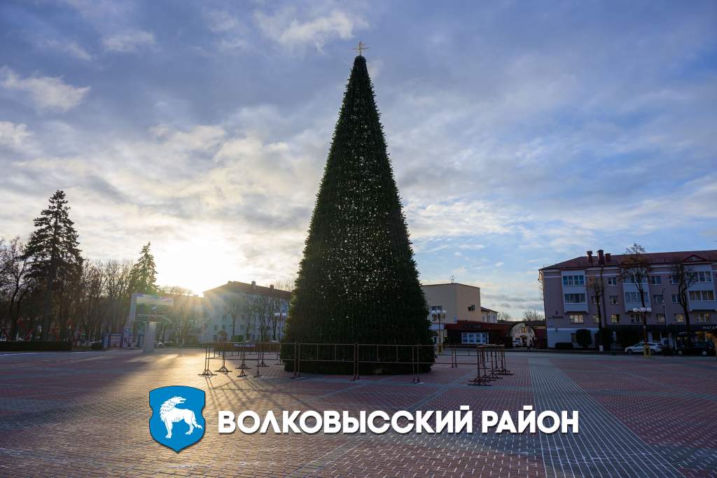 Елка день.jpg