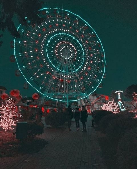 5.JPG