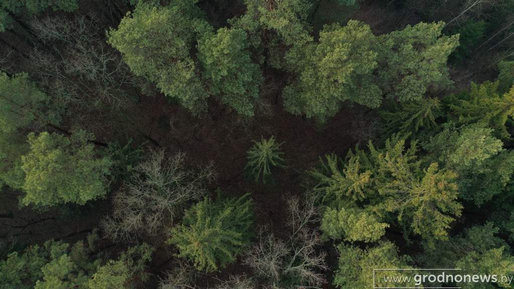 DJI_0383.JPG